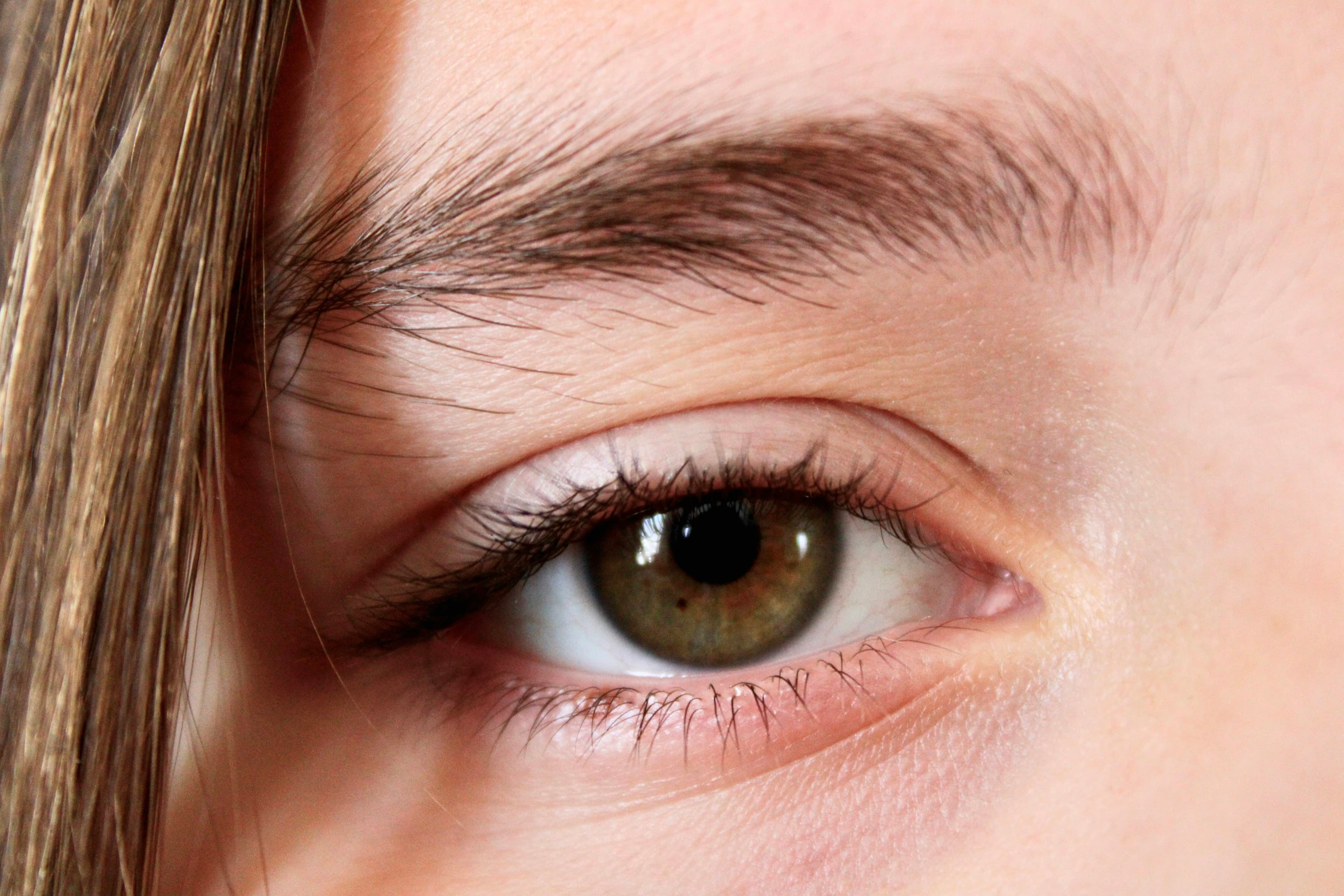 Close-up of a softly defined, freshly tinted eyebrow